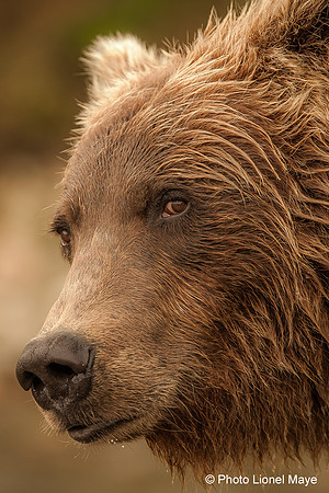Regard en coin