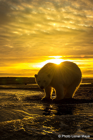 Coucher de soleil arctique