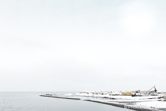 Immensité blanche